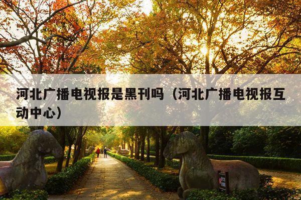 河北广播电视报是黑刊吗(河北广播电视报互动中心)