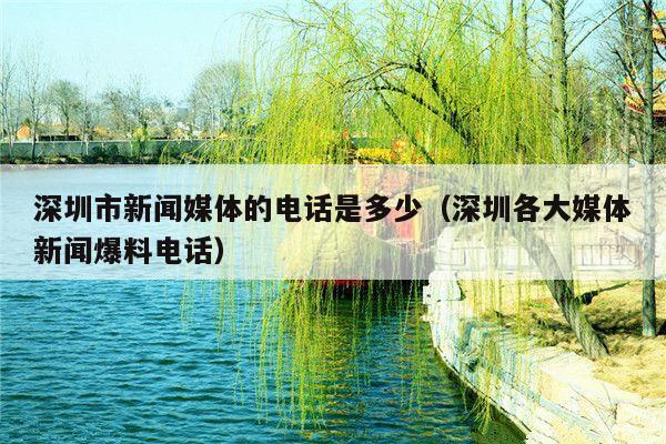 深圳市新闻媒体的电话是多少(深圳各大媒体新闻爆料电话)