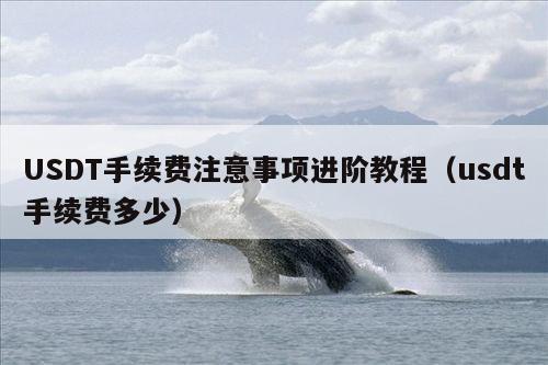 USDT手续费注意事项进阶教程(usdt手续费多少)