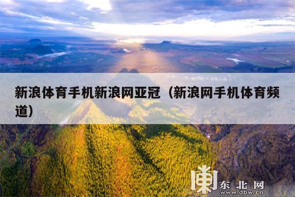 新浪体育手机新浪网亚冠(新浪网手机体育频道)