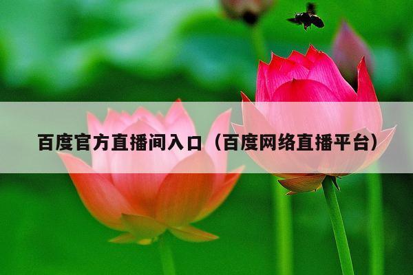 百度官方直播间入口(百度网络直播平台)