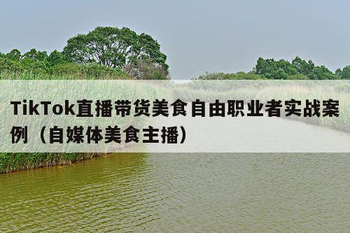 TikTok直播带货美食自由职业者实战案例(自媒体美食主播)