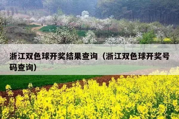 浙江双色球开奖结果查询(浙江双色球开奖号码查询)