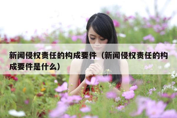 新闻侵权责任的构成要件(新闻侵权责任的构成要件是什么)