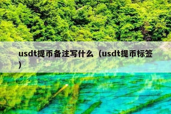 usdt提币备注写什么(usdt提币标签)