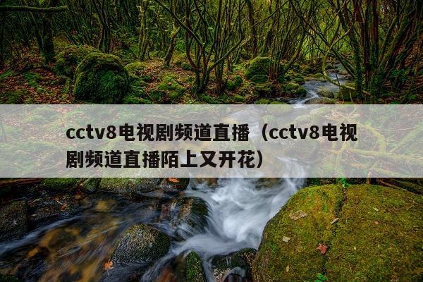 cctv8电视剧频道直播(cctv8电视剧频道直播陌上又开花)