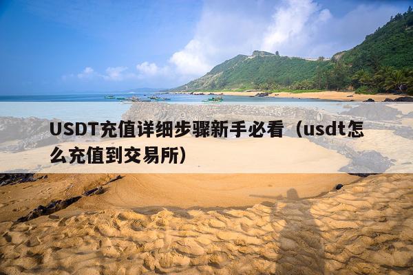 USDT充值详细步骤新手必看(usdt怎么充值到交易所)