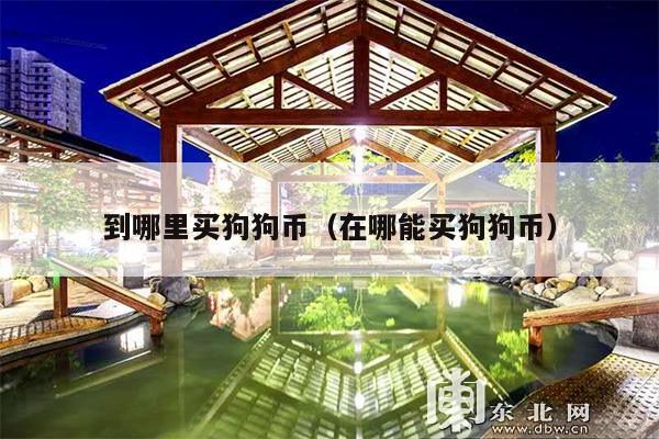 到哪里买狗狗币(在哪能买狗狗币)