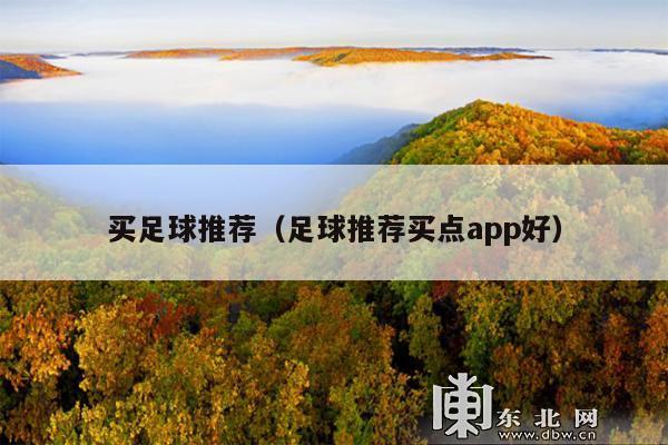 买足球推荐(足球推荐买点app好)