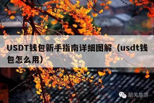 USDT钱包新手指南详细图解(usdt钱包怎么用)