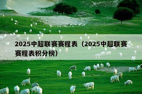 2025中超联赛赛程表(2025中超联赛赛程表积分榜)