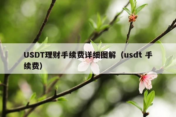 USDT理财手续费详细图解(usdt 手续费)