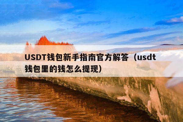 USDT钱包新手指南官方解答(usdt 钱包里的钱怎么提现)