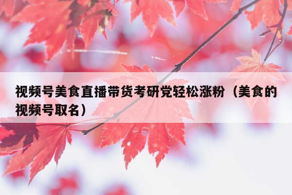 视频号美食直播带货考研党轻松涨粉(美食的视频号取名)