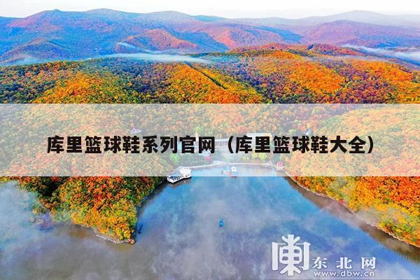 库里篮球鞋系列官网(库里篮球鞋大全)