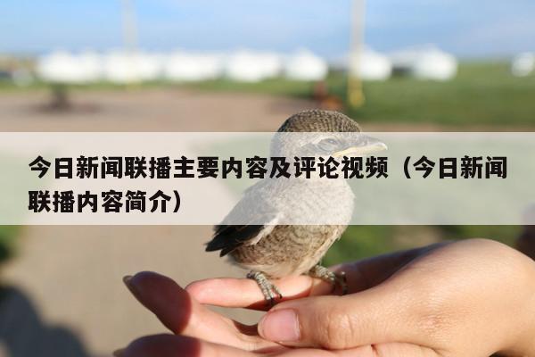 今日新闻联播主要内容及评论视频(今日新闻联播内容简介)