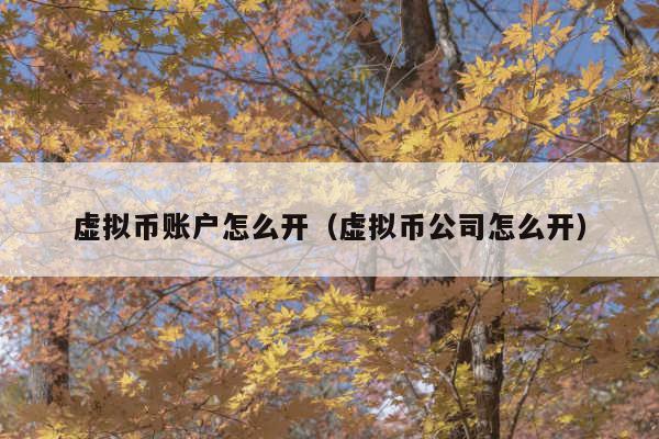 虚拟币账户怎么开(虚拟币公司怎么开)