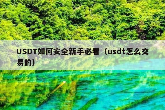 USDT如何安全新手必看(usdt怎么交易的)