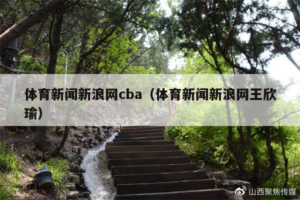 体育新闻新浪网cba（体育新闻新浪网王欣瑜）