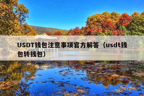 USDT钱包注意事项官方解答（usdt钱包转钱包）