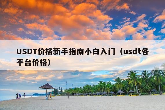 USDT价格新手指南小白入门（usdt各平台价格）