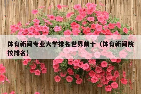 体育新闻专业大学排名世界前十（体育新闻院校排名）