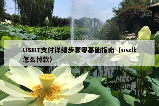 USDT支付详细步骤零基础指南（usdt怎么付款）