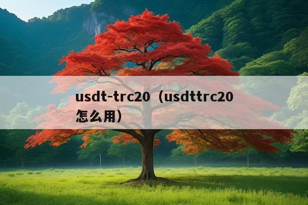 usdt-trc20(usdttrc20怎么用)