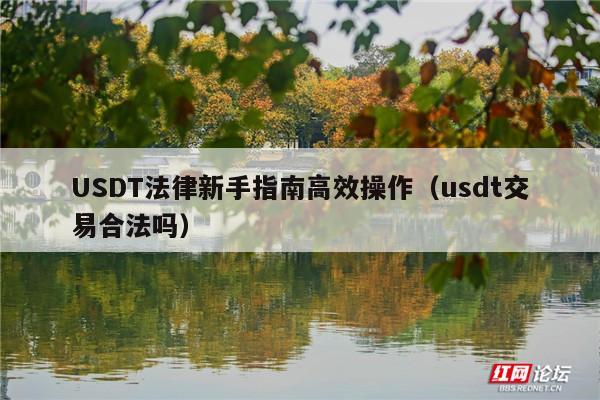 USDT法律新手指南高效操作(usdt交易合法吗)