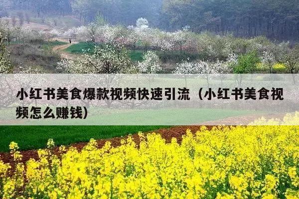 小红书美食爆款视频快速引流(小红书美食视频怎么赚钱)