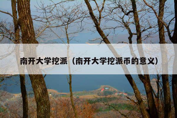 南开大学挖派(南开大学挖派币的意义)