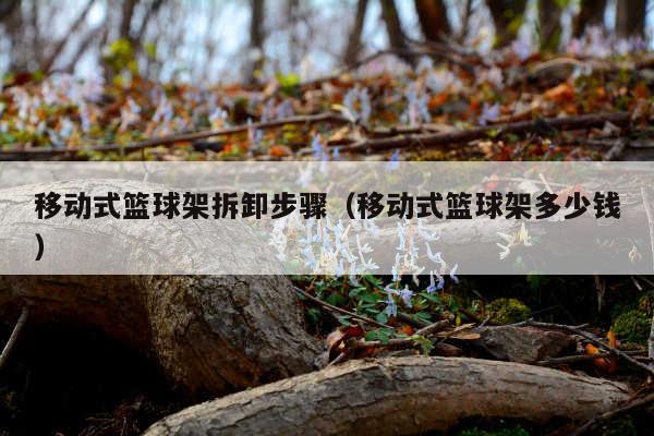 移动式篮球架拆卸步骤(移动式篮球架多少钱)