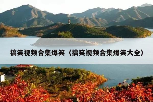 搞笑视频合集爆笑(搞笑视频合集爆笑大全)
