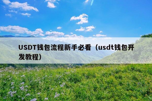 USDT钱包流程新手必看(usdt钱包开发教程)