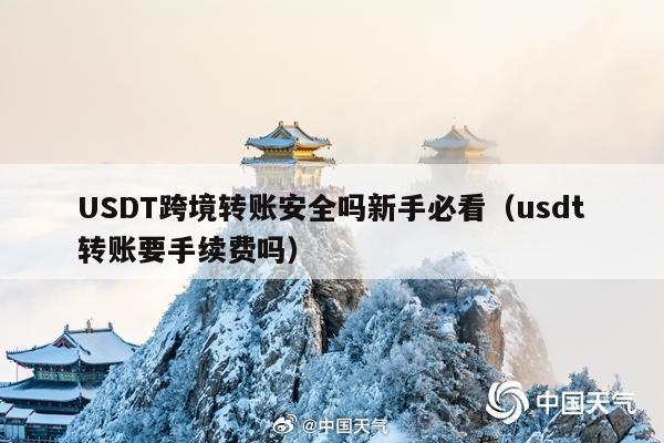 USDT跨境转账安全吗新手必看(usdt转账要手续费吗)