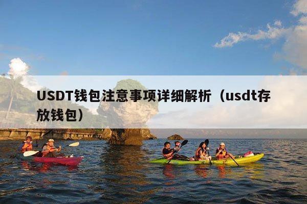 USDT钱包注意事项详细解析(usdt存放钱包)