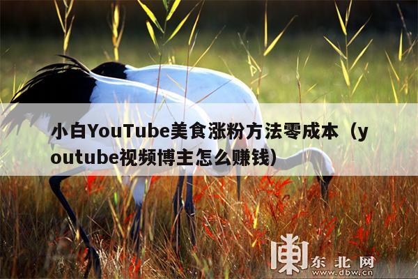 小白YouTube美食涨粉方法零成本(youtube视频博主怎么赚钱)