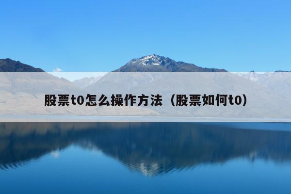 股票t0怎么操作方法(股票如何t0)
