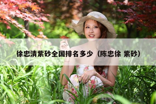 徐忠清紫砂全国排名多少(陈忠徐 紫砂)