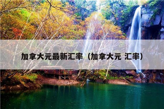 加拿大元最新汇率(加拿大元 汇率)