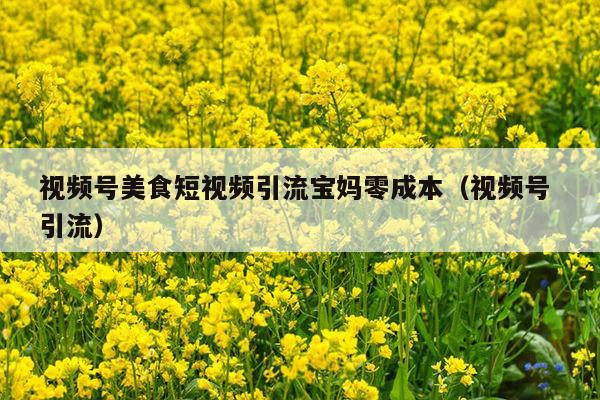 视频号美食短视频引流宝妈零成本(视频号 引流)