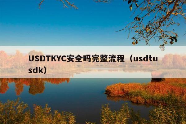 USDTKYC安全吗完整流程(usdtusdk)