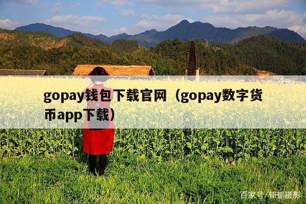 gopay钱包下载官网(gopay数字货币app下载)