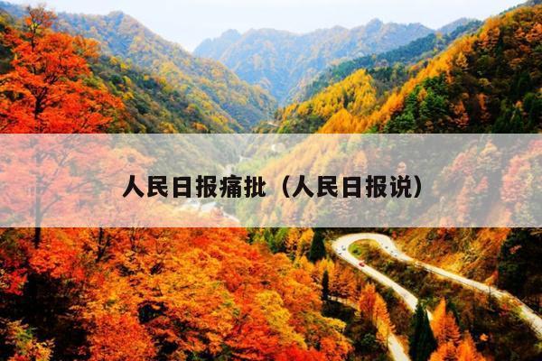 人民日报痛批(人民日报说)