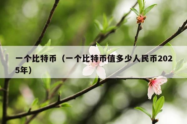 一个比特币(一个比特币值多少人民币2025年)