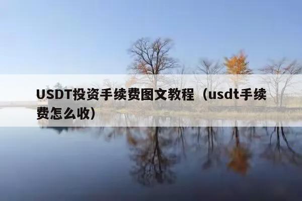 USDT投资手续费图文教程(usdt手续费怎么收)