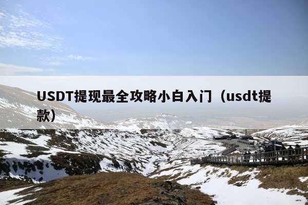 USDT提现最全攻略小白入门(usdt提款)
