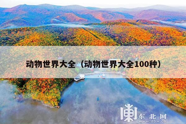 动物世界大全(动物世界大全100种)