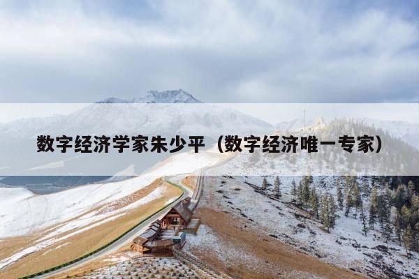 数字经济学家朱少平(数字经济唯一专家)
