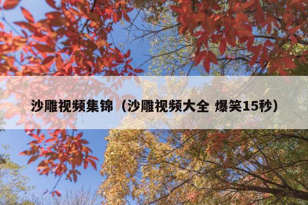 沙雕视频集锦(沙雕视频大全 爆笑15秒)